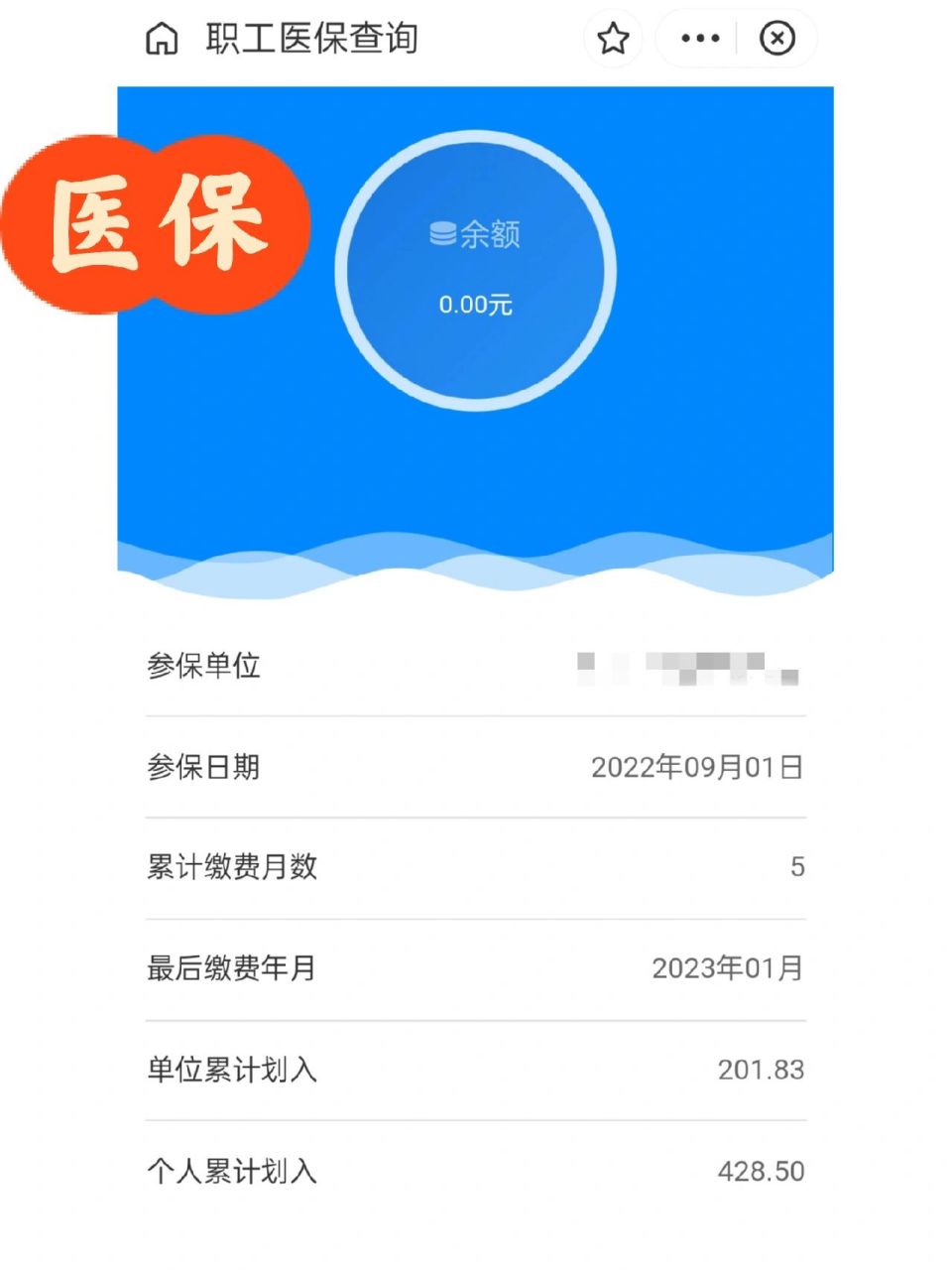 嘉善最新为什么缴纳了医保查不到余额方法分析(最方便真实的嘉善为什么交了医保后查询不到医保缴费信息方法)