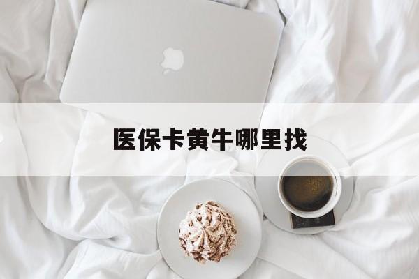 嘉善最新医保卡黄牛哪里找方法分析(最方便真实的嘉善医保卡的事情去哪里咨询方法)